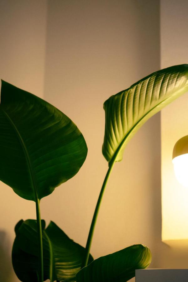 #9 3Mins To Station 1Stop To Shinjuku Stylish Apartment With Plenty Of Sunlight โตเกียว ภายนอก รูปภาพ