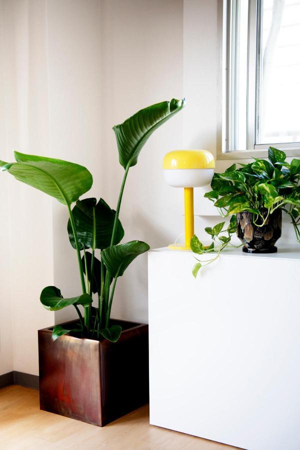 #9 3Mins To Station 1Stop To Shinjuku Stylish Apartment With Plenty Of Sunlight โตเกียว ภายนอก รูปภาพ